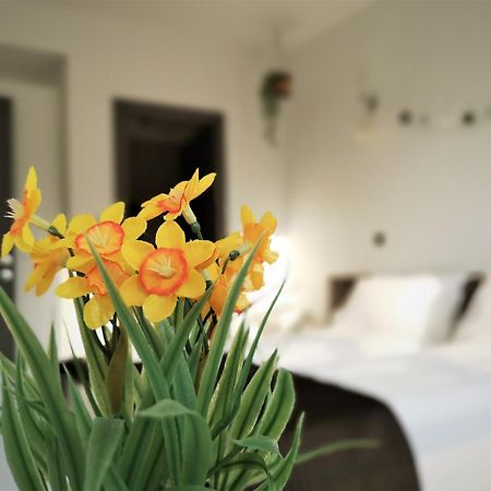 The Evergreen Nest - Silver Mountain โปยานาบราซอฟ ห้อง รูปภาพ