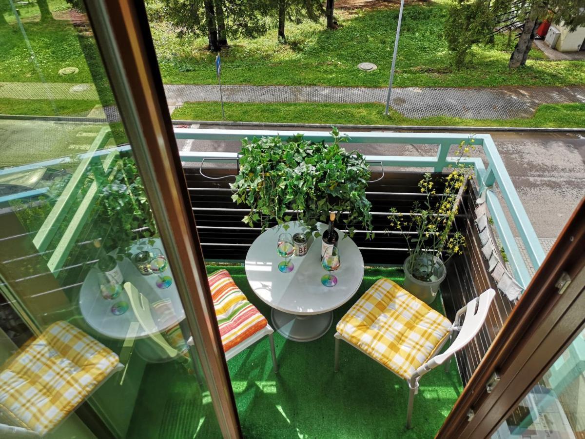 The Evergreen Nest - Silver Mountain โปยานาบราซอฟ ภายนอก รูปภาพ