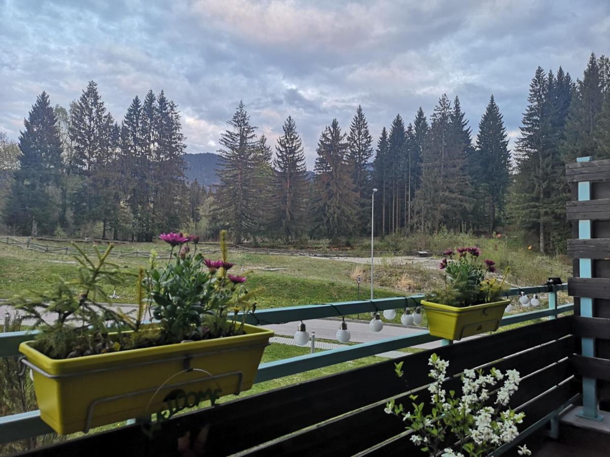 The Evergreen Nest - Silver Mountain โปยานาบราซอฟ ภายนอก รูปภาพ