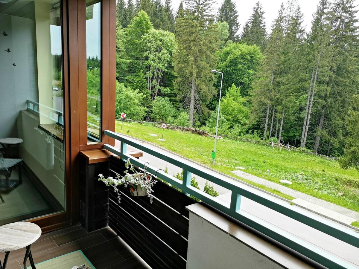 The Evergreen Nest - Silver Mountain โปยานาบราซอฟ ภายนอก รูปภาพ