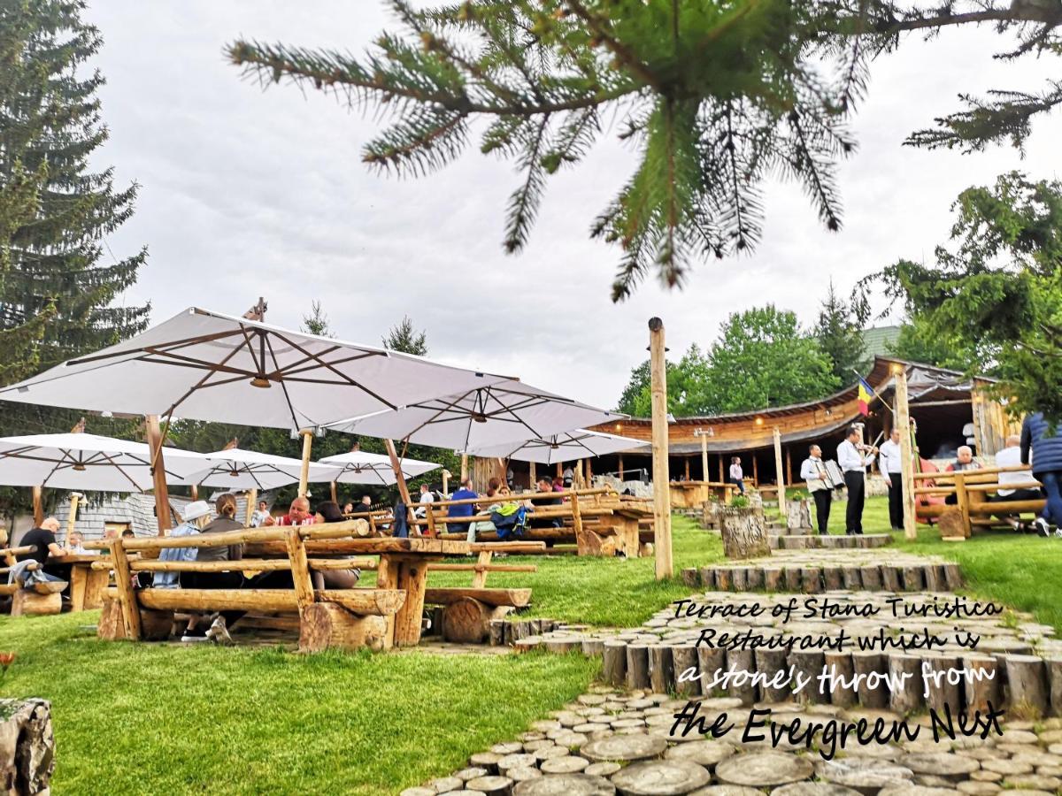 The Evergreen Nest - Silver Mountain โปยานาบราซอฟ ภายนอก รูปภาพ