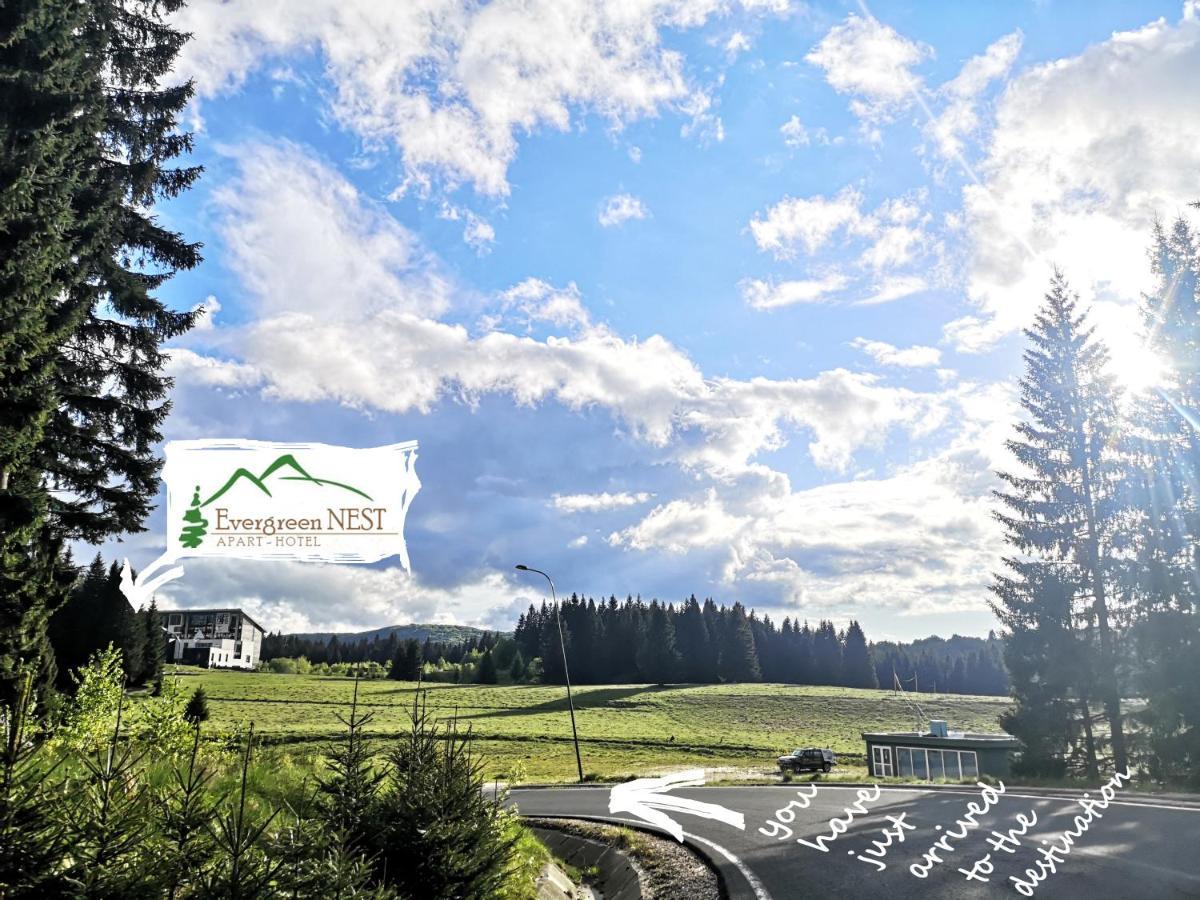 The Evergreen Nest - Silver Mountain โปยานาบราซอฟ ภายนอก รูปภาพ