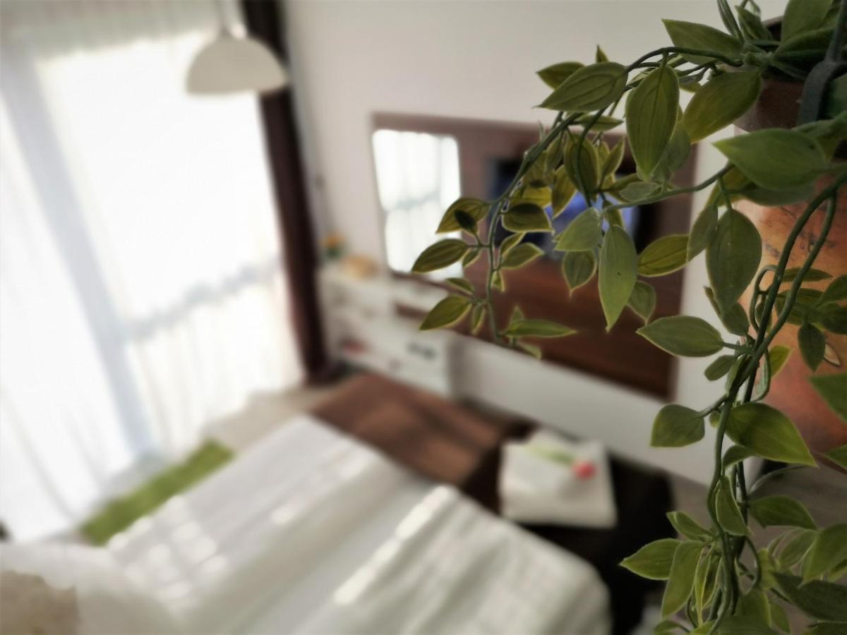 The Evergreen Nest - Silver Mountain โปยานาบราซอฟ ภายนอก รูปภาพ