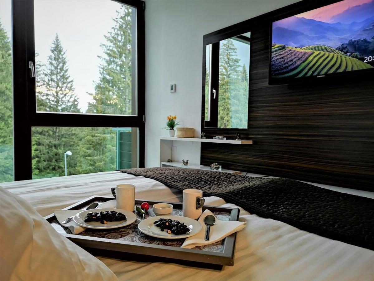 The Evergreen Nest - Silver Mountain โปยานาบราซอฟ ภายนอก รูปภาพ