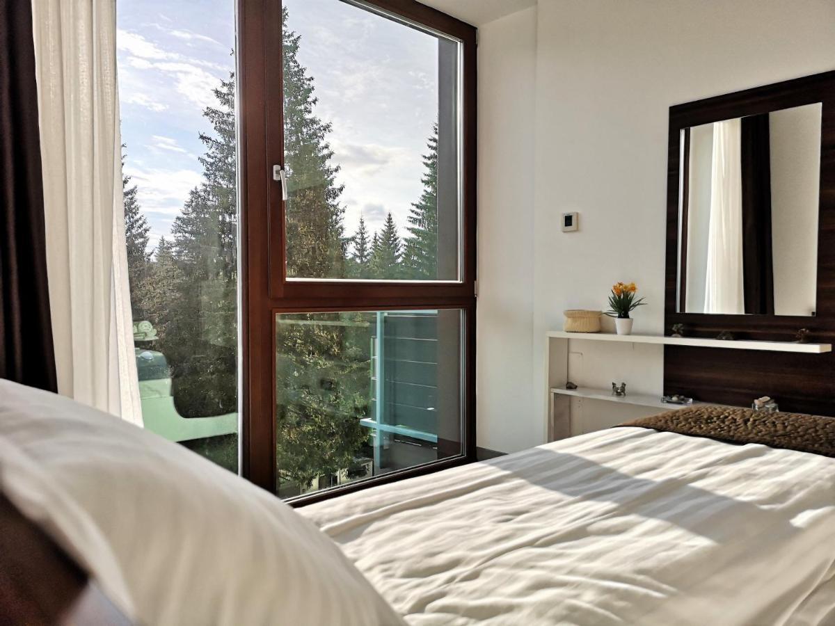 The Evergreen Nest - Silver Mountain โปยานาบราซอฟ ภายนอก รูปภาพ