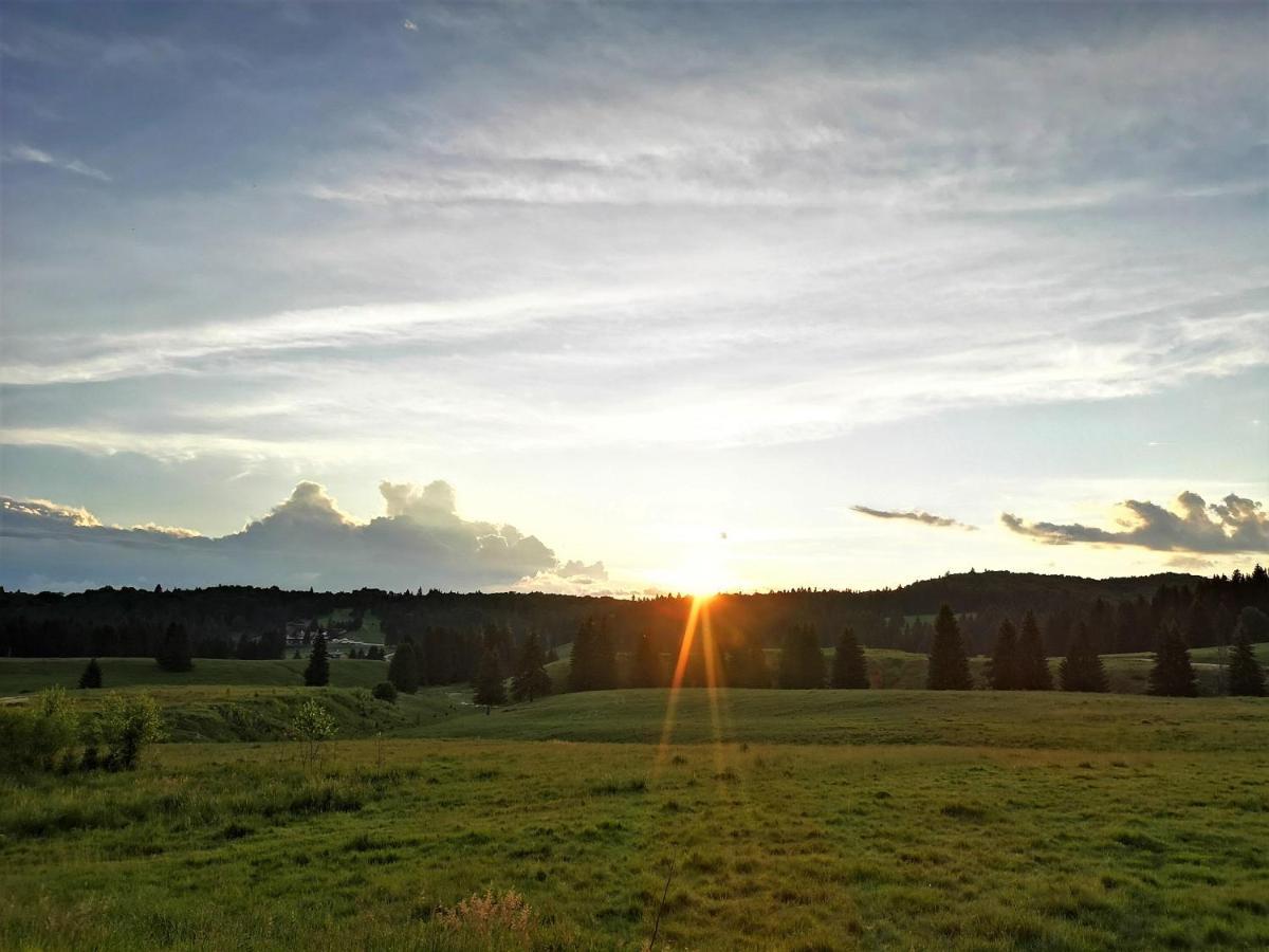 The Evergreen Nest - Silver Mountain โปยานาบราซอฟ ภายนอก รูปภาพ