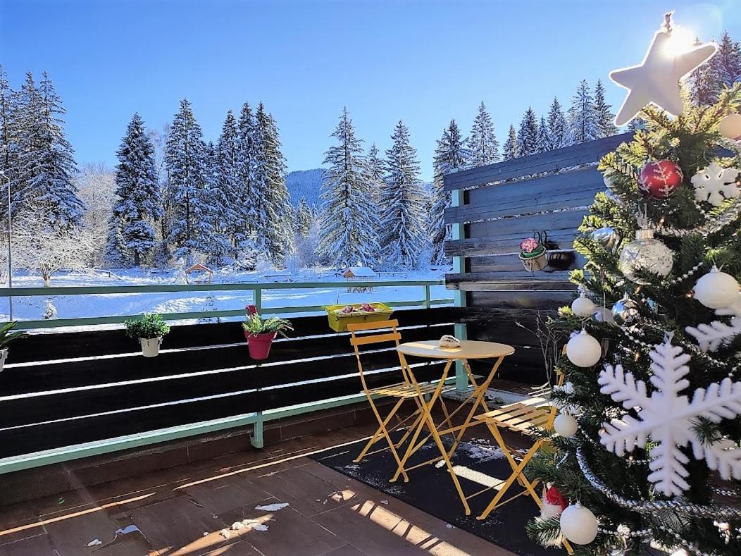 The Evergreen Nest - Silver Mountain โปยานาบราซอฟ ภายนอก รูปภาพ