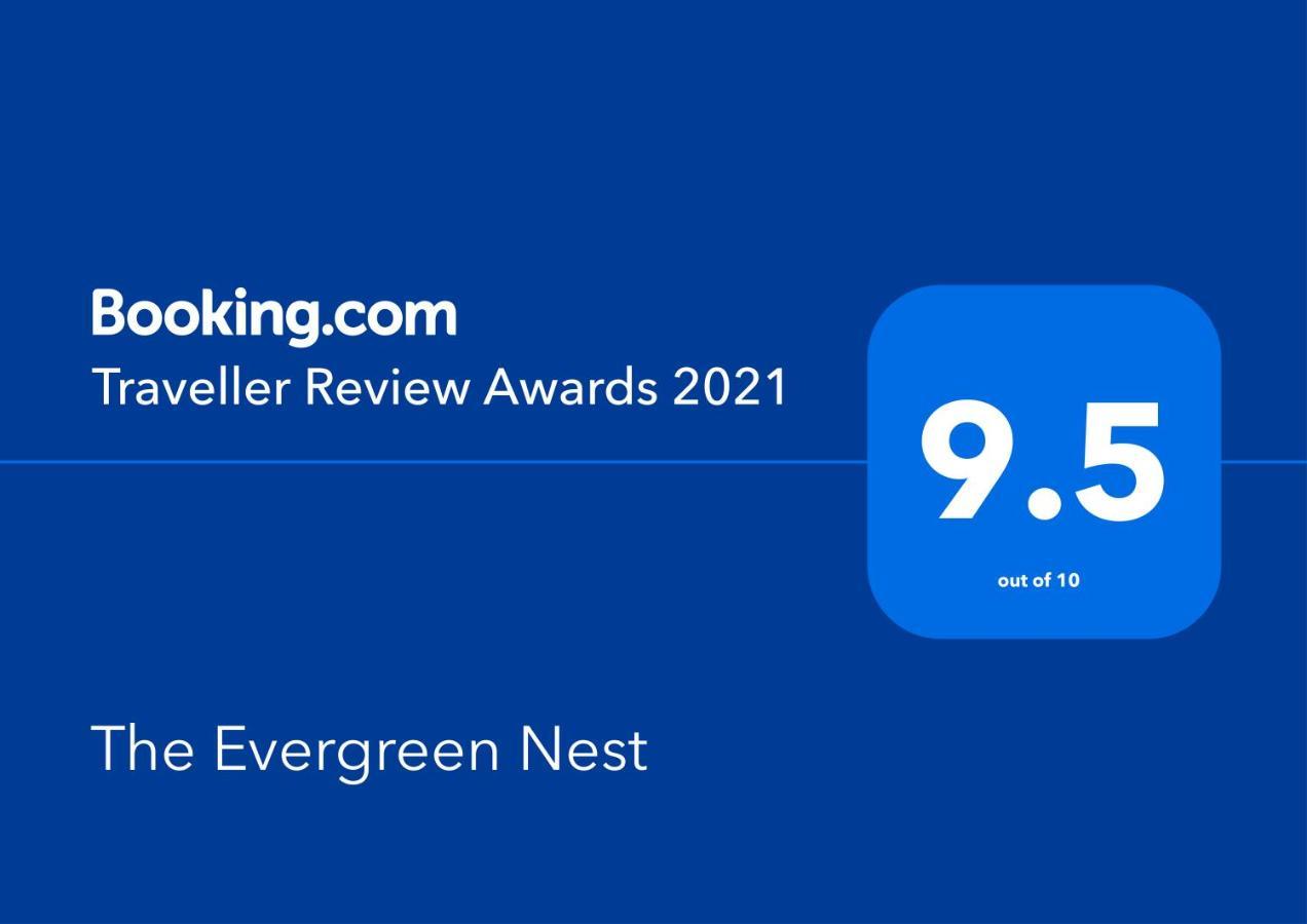 The Evergreen Nest - Silver Mountain โปยานาบราซอฟ ภายนอก รูปภาพ