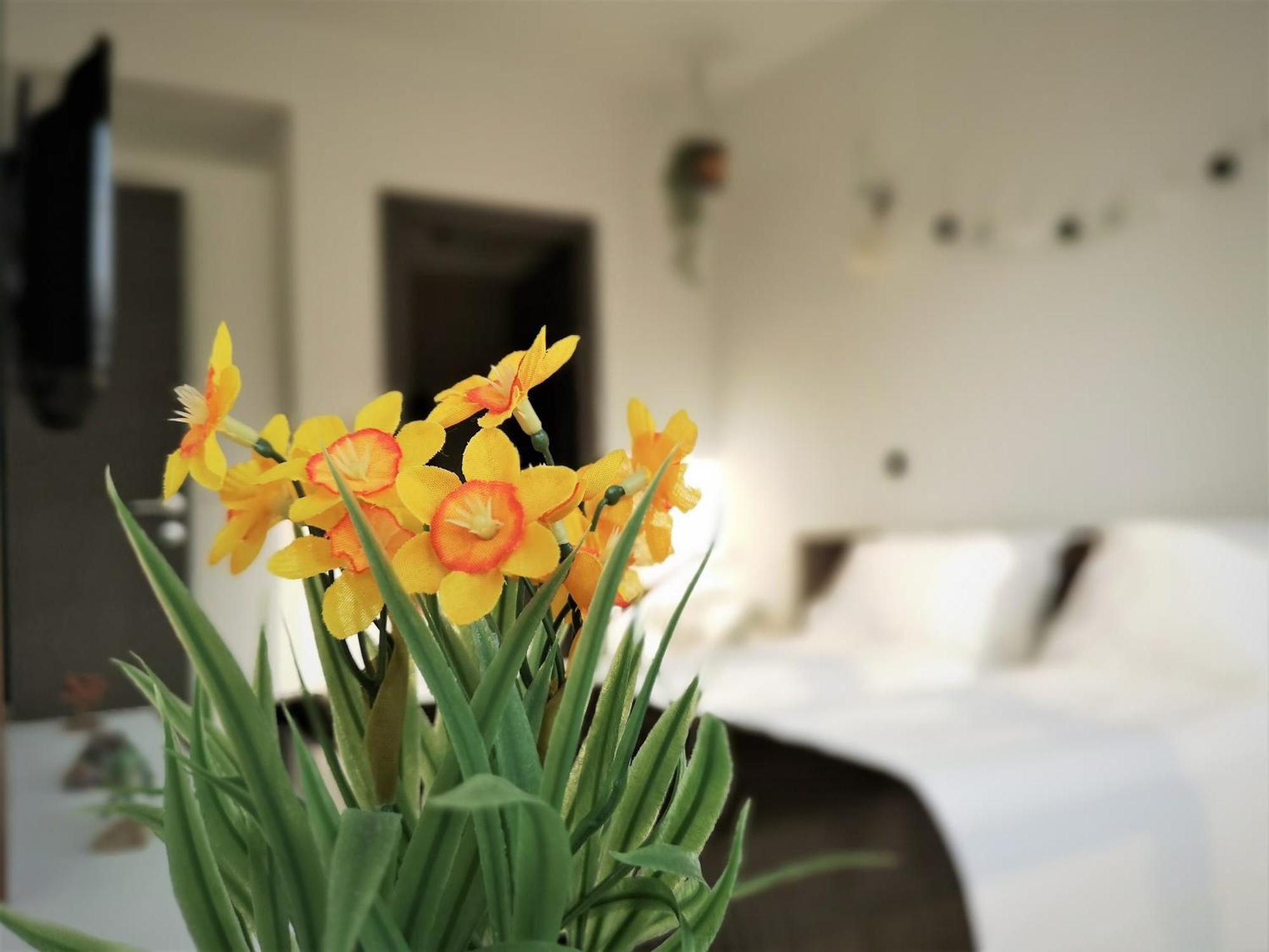 The Evergreen Nest - Silver Mountain โปยานาบราซอฟ ห้อง รูปภาพ